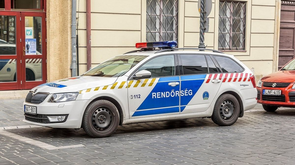 Maďarská školní stráž použila při zásazích pouta i obušky